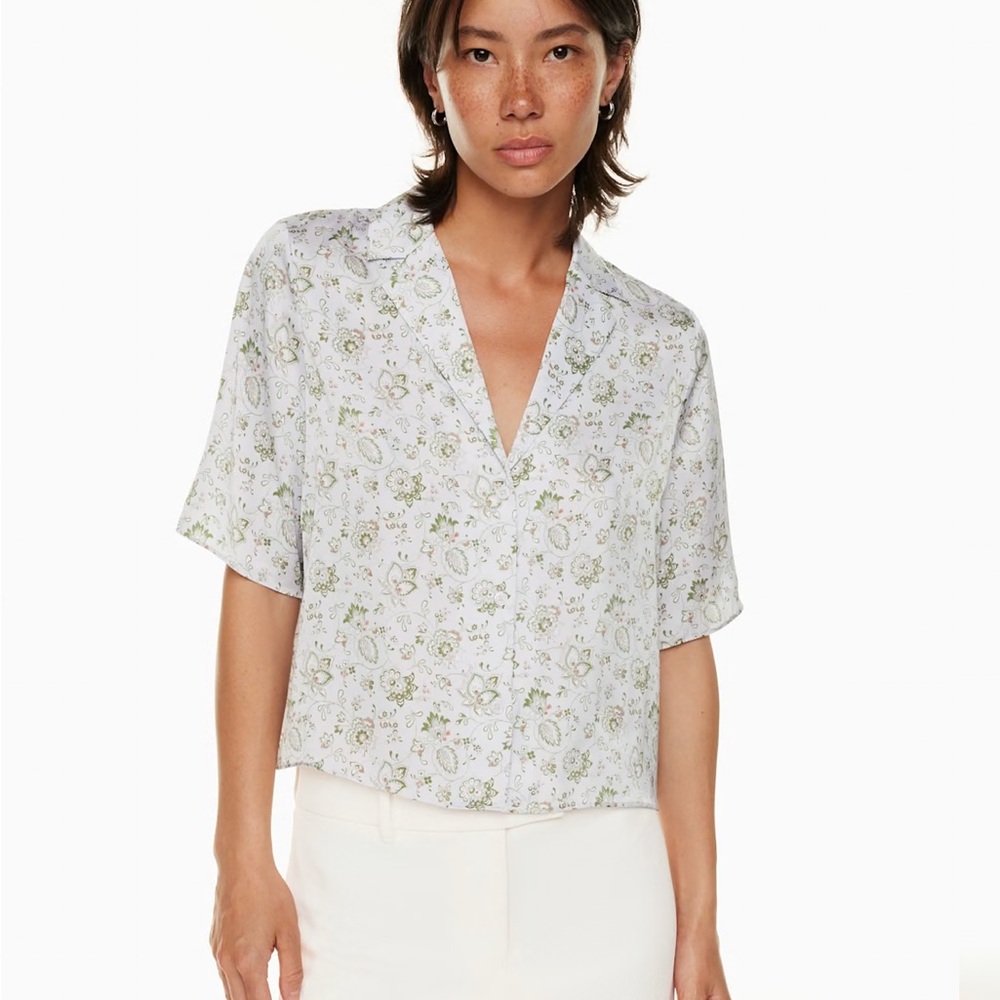 Aritzia Floral V-Neck Blouse - White and Green
